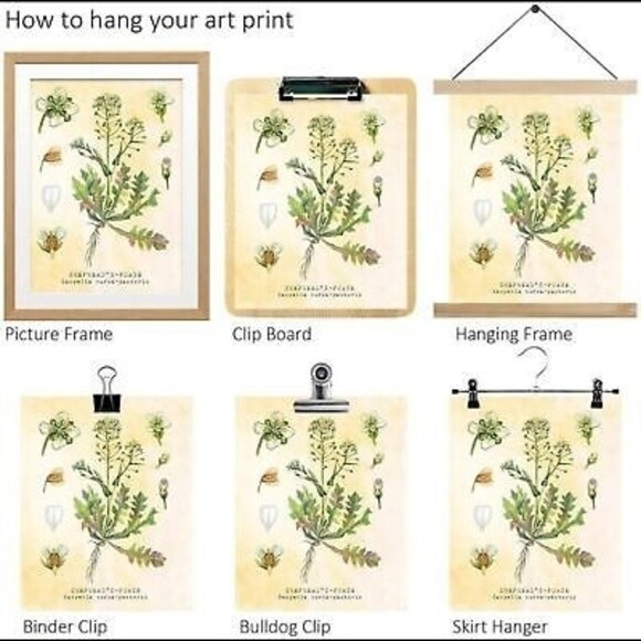 NEW Set of Six 8 X 10 UNFRAMED Botanical Prints by Tavenly Spring Summer Gift - Picture 10 of 10